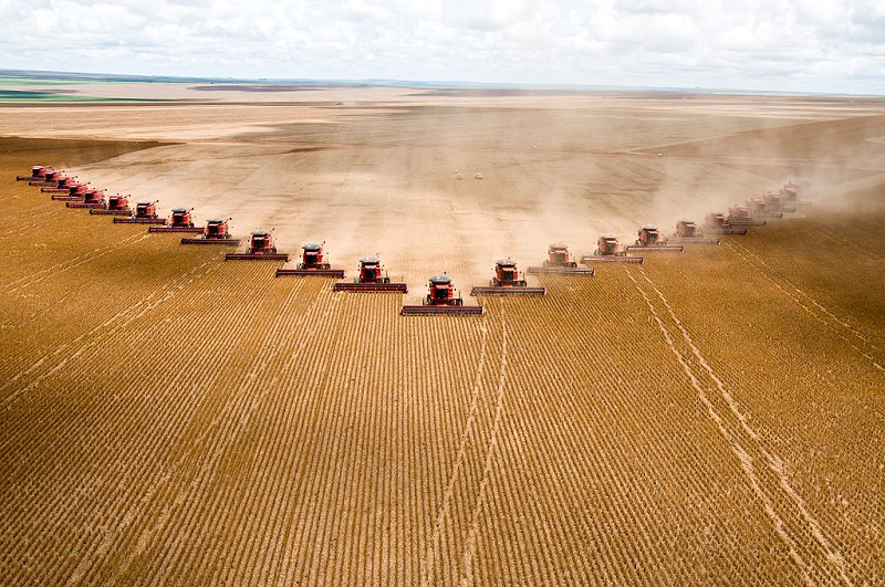 O valor das commodities deve gerar US$ 53 bilhões em exportações para o Brasil